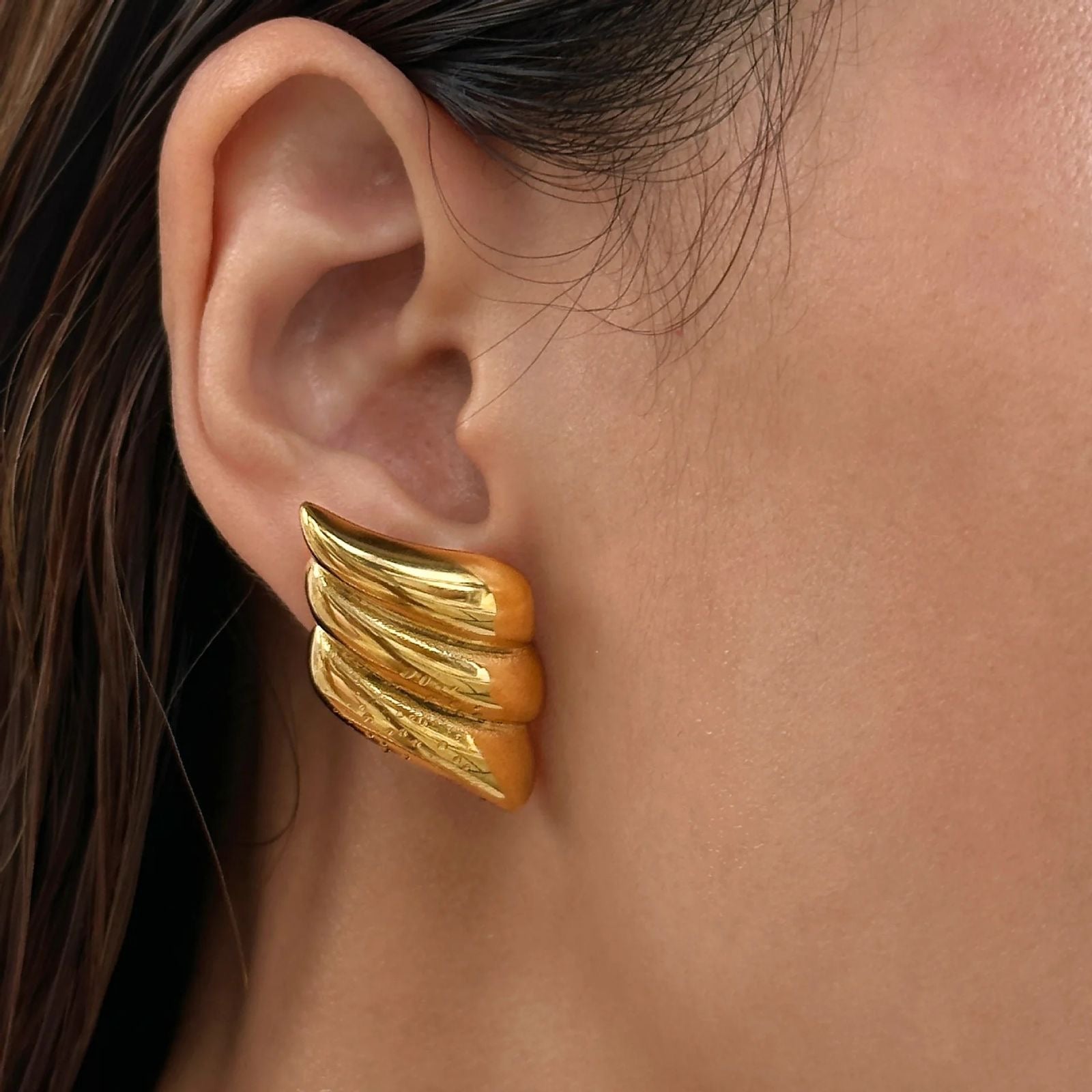 Wings earrings