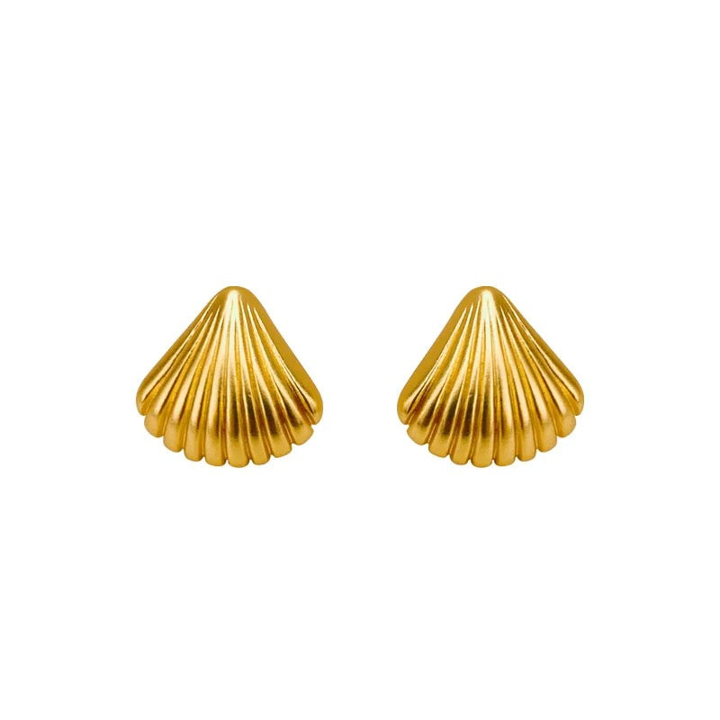 Shell earrings