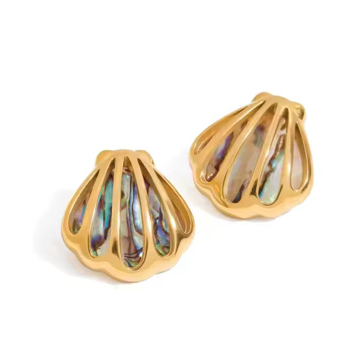Seashell earrings
